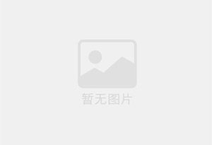 大头菜自动清洗机